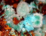 Griechenland Lavrion Mineralien Christiana Malachit