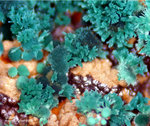 Griechenland Lavrion Mineralien Christiana Malachit