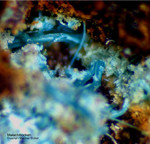 Griechenland Lavrion Mineralien Christiana Malachit