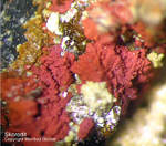 Mineralien Griechenland Lavrion Christiana Skorodit