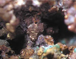 Mineralien Griechenland Lavrion Christiana Skorodit