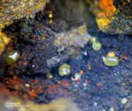 Griechenland Lavrion Mineralien Exi Chlorargyrit
