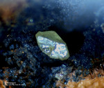 Griechenland Lavrion Mineralien Exi Chlorargyrit