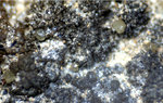 Griechenland Lavrion Mineralien Exi Chlorargyrit