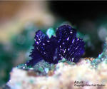 Mineralien Griechenland Lavrion Hilarion Azurit