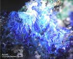 Mineralien Griechenland Lavrion Hilarion Azurit