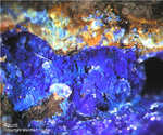 Mineralien Griechenland Lavrion Hilarion Azurit