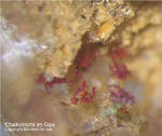 Griechenland Mineralien Lavrion Laurion Hilarion Chalkotrichit