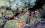 Griechenland Mineralien Lavrion Laurion Hilarion Chalkotrichit