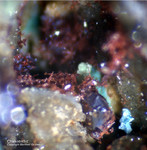 Griechenland Mineralien Lavrion Laurion Hilarion Chalkotrichit