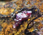 Mineralien Griechenland Lavrion Laurion Hilarion Cuprit