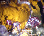 Mineralien Griechenland Lavrion Laurion Hilarion Cuprit