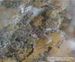 Mineralien Griechenland Lavrion Laurion Hilarion Cuprit