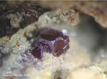 Mineralien Griechenland Lavrion Laurion Hilarion Cuprit