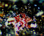 Mineralien Griechenland Lavrion Laurion Hilarion Cuprit