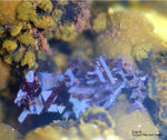 Mineralien Griechenland Lavrion Laurion Hilarion Cuprit