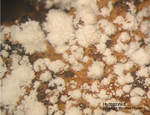 Griechenland Mineralien Lavrion Hilarion Hydrozinkit
