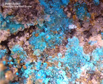 Griechenland Laurion Mineralien Hilarion Lavendulan