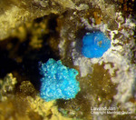Griechenland Laurion Mineralien Hilarion Lavendulan