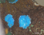 Griechenland Laurion Mineralien Hilarion Lavendulan