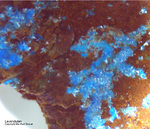 Griechenland Laurion Mineralien Hilarion Lavendulan