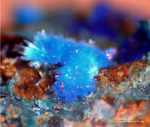 Griechenland Laurion Mineralien Hilarion Lavendulan