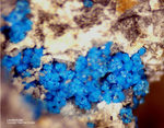 Griechenland Laurion Mineralien Hilarion Lavendulan