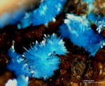 Griechenland Laurion Mineralien Hilarion Lavendulan