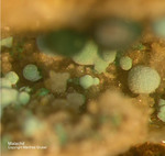 Mineralien Griechenland Laurion Hilarion Malachit