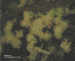 Mineralien Griechenland Laurion Hilarion Malachit