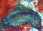 Mineralien Griechenland Laurion Hilarion Malachit