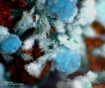Mineralien Griechenland Laurion Hilarion Malachit
