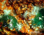 Griechenland Mineralien Laurion Hilarion Neodymagardit