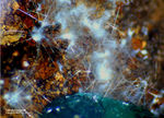 Griechenland Mineralien Laurion Hilarion Neodymagardit