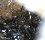 Griechenland Mineralien Lavrion Hilarion Plattnerit