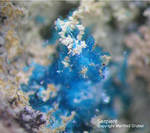 Griechenland Mineralien Lavrion Hilarion Serpierit