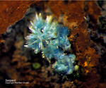 Griechenland Mineralien Lavrion Hilarion Serpierit