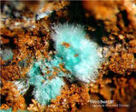 Griechenland Mineralien Lavrion Hilarion Woodwardit