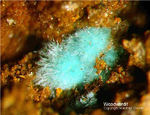 Griechenland Mineralien Lavrion Hilarion Woodwardit