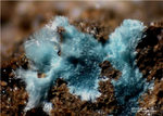 Griechenland Mineralien Lavrion Hilarion Woodwardit