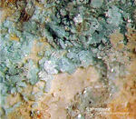 Griechenland Lavrion Mineralien Jean Baptiste Lahnsteinit