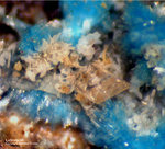 Griechenland Lavrion Mineralien Jean Baptiste Lahnsteinit