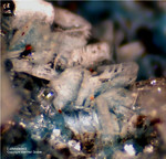 Griechenland Lavrion Mineralien Jean Baptiste Lahnsteinit