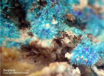 Griechenland Lavrion Mineralien Jean Baptiste Serpierit