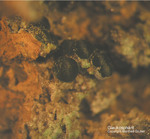 Lavrion Mineralien Km3 Glaukosphaerit
