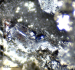 Griechenland Lavrion Mineralien Plaka Miargyrit