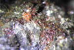 Griechenland Lavrion Mineralien Plaka Pyrargyrit