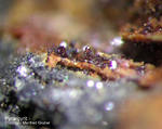 Griechenland Lavrion Mineralien Plaka Pyrargyrit