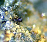 Griechenland Lavrion Mineralien Plaka Pyrargyrit