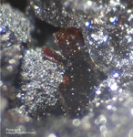 Griechenland Lavrion Mineralien Plaka Pyrargyrit